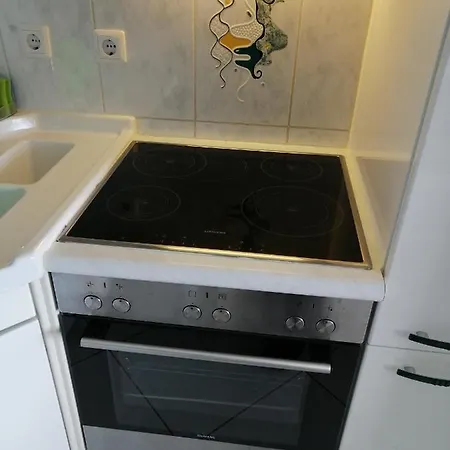 아파트 Grosses Panorama 빈겐암라인