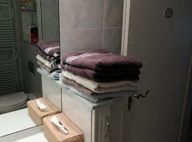 Grosses Panorama 公寓 莱茵河畔的宾根